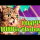 Happy Birthday, Lil BUB: We Love You and Your Cute, Funny Face
